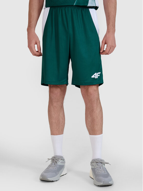 4F 4F Szorty sportowe TEAMWEAR Kolorowy Regular Fit