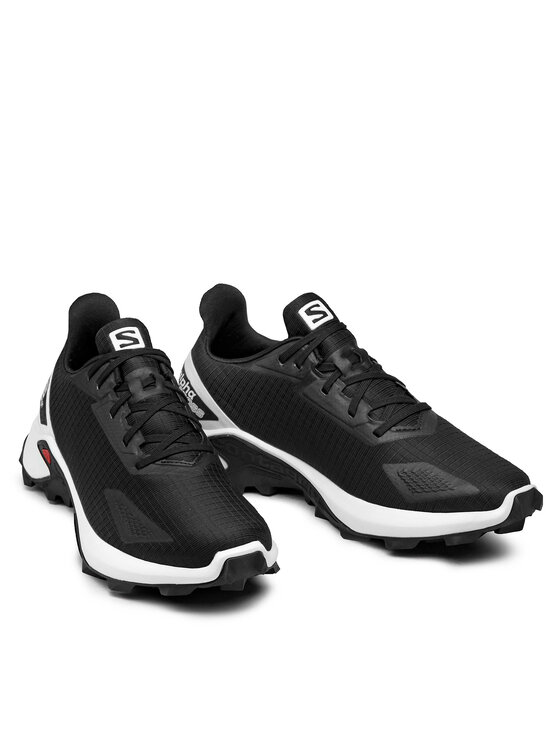 Salomon Salomon Tenisice za trčanje Alphacross Blast 411049 30 W0 Crna