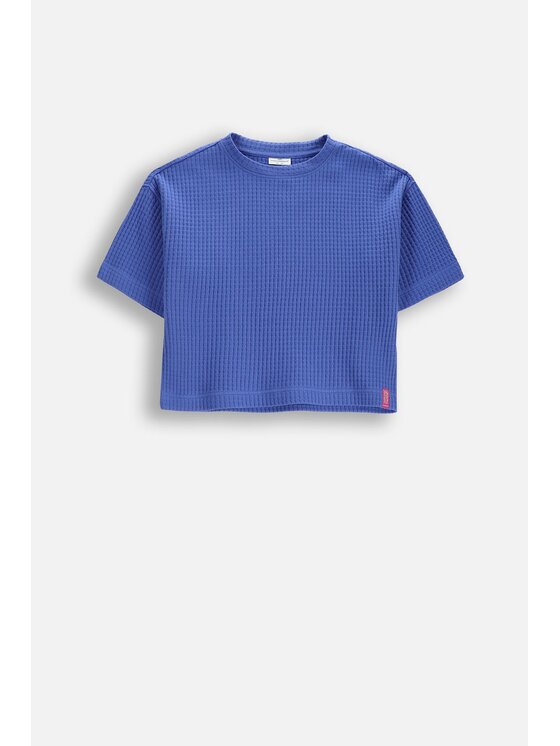 Coccodrillo Coccodrillo T-Shirt WC6143205WGJ-014 Modrá Regular Fit