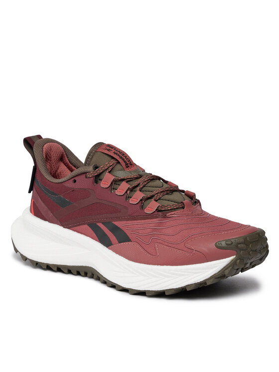 Reebok Reebok Pantofi pentru alergare Floatride Energy 5 Adventure HQ9061 Roșu