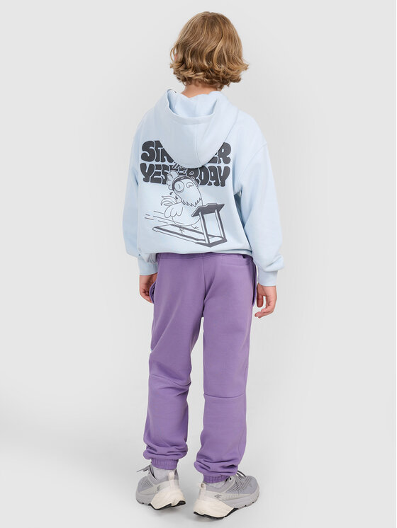 4F 4F Spodnie dresowe SELF CARE Fioletowy Regular Fit