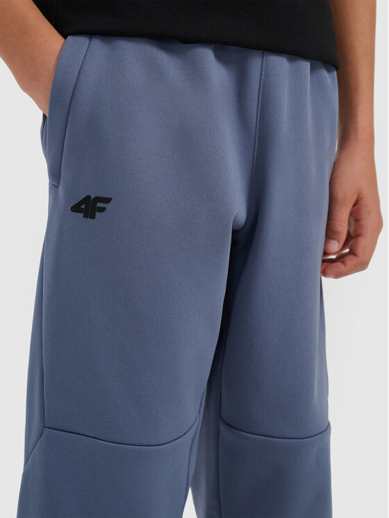 4F 4F Spodnie dresowe APRES SKI Regular Fit