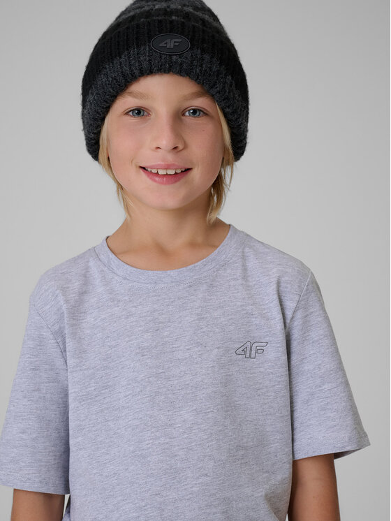 4F 4F T-Shirt BASIC+ Szary Regular Fit