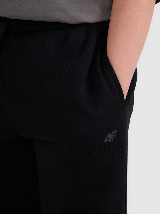 4F 4F Spodnie dresowe BASIC+ Czarny Regular Fit