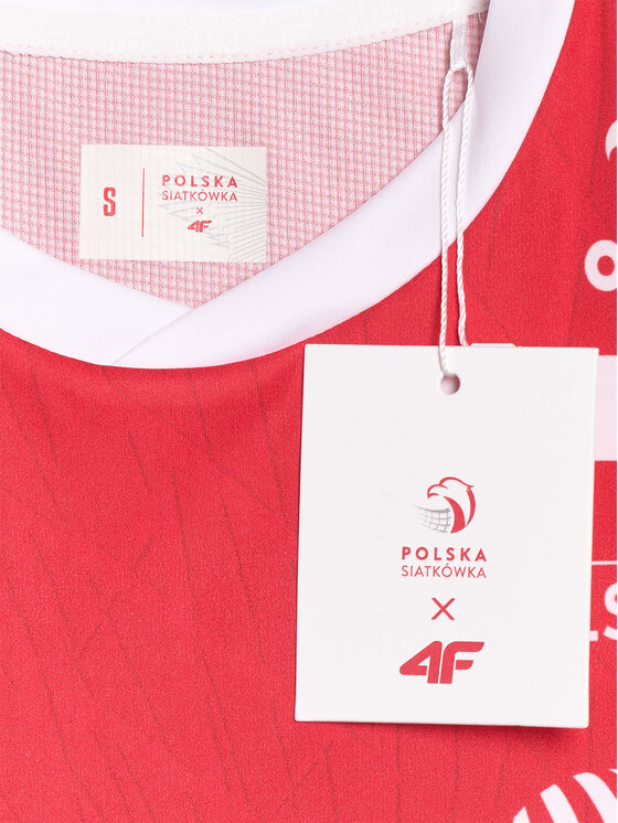 4F 4F Koszulka techniczna TEAMWEAR Kolorowy Regular Fit