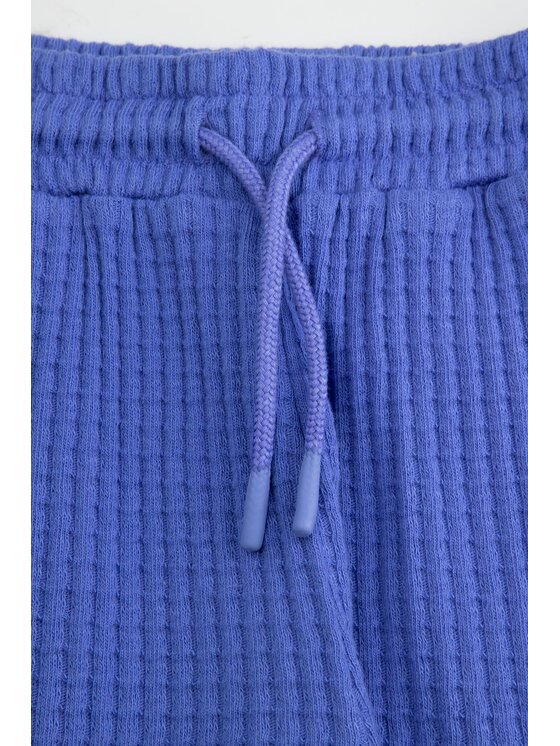 Coccodrillo Coccodrillo Bavlnené šortky WC6121401WGJ-014 Modrá Regular Fit