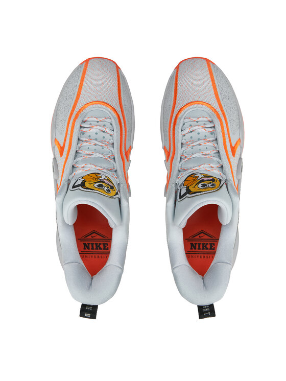 Nike Nike Buty do koszykówki DH1537-004 Szary