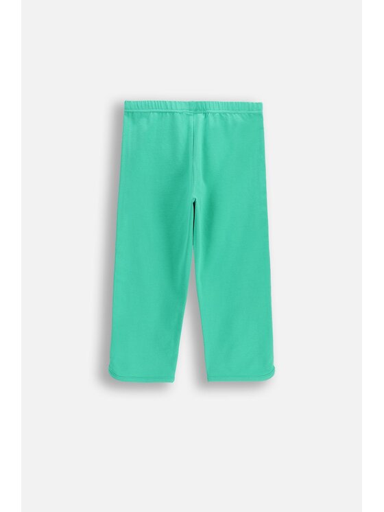 Coccodrillo Coccodrillo Legginsy WC6122301JGJ-011 Zielony