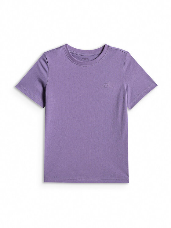 4F 4F T-Shirt BASIC+ Kolorowy Regular Fit