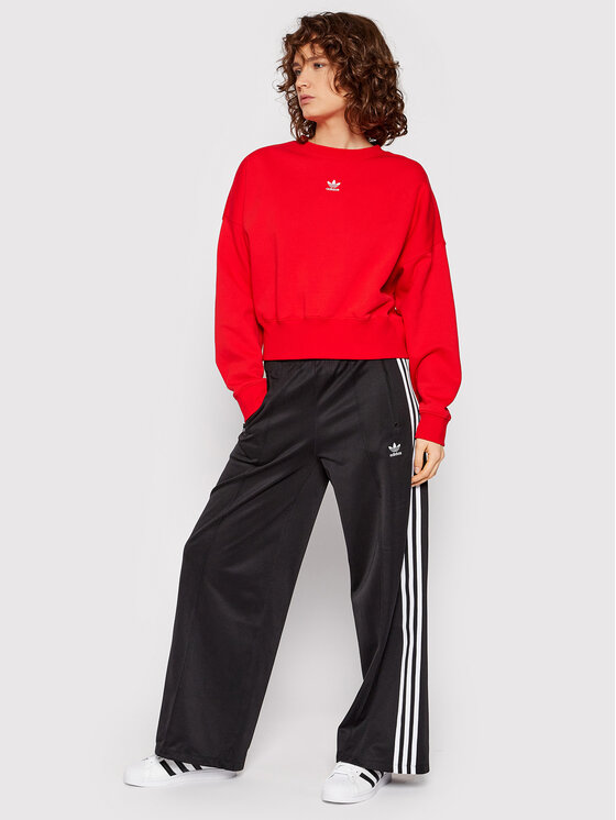 adidas Jogginghose adicolor Classics H35605 Schwarz Regular Fit â¢ Modivo.at