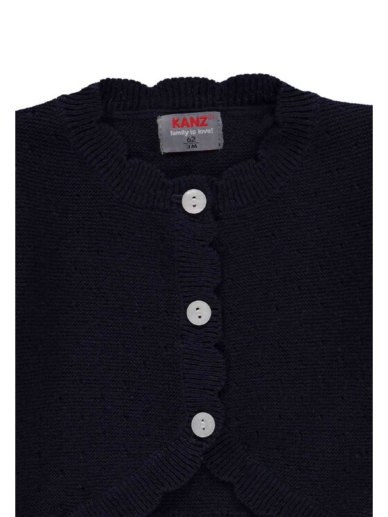 Kanz Kanz Sweter 2032857-3000 Niebieski Basic Fit