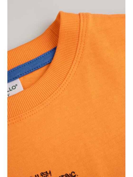 Coccodrillo Coccodrillo T-Shirt WC6143203RBJ-006 Pomarańczowy Regular Fit