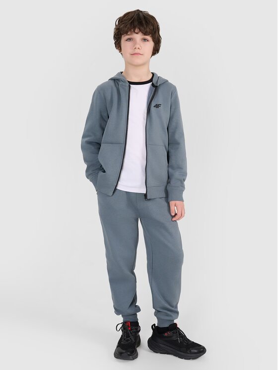 4F 4F Mikina 4FJWSS25TSWSM1714-46S Zelená Regular Fit