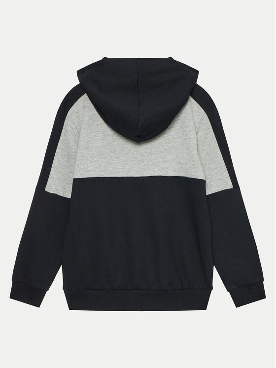 Coccodrillo Coccodrillo Суитшърт ZC4132301DBJ Цветен Regular Fit