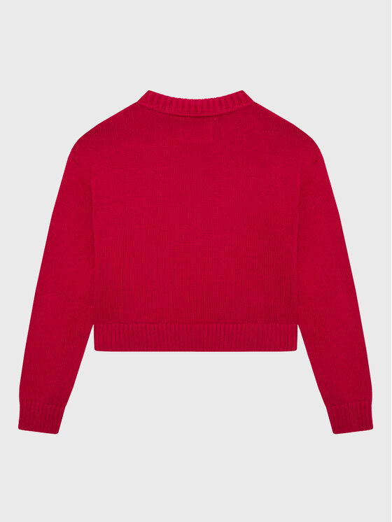 Calvin Klein Jeans Calvin Klein Jeans Maglione Monogram IG0IG01705 Bordeaux Relaxed Fit