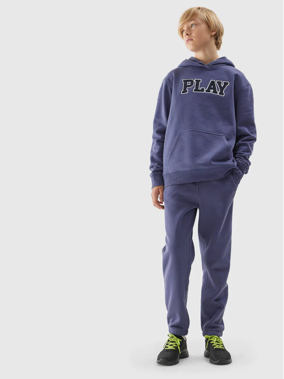 4F 4F Bluza 4FJAW23TSWSM652 Niebieski Regular Fit