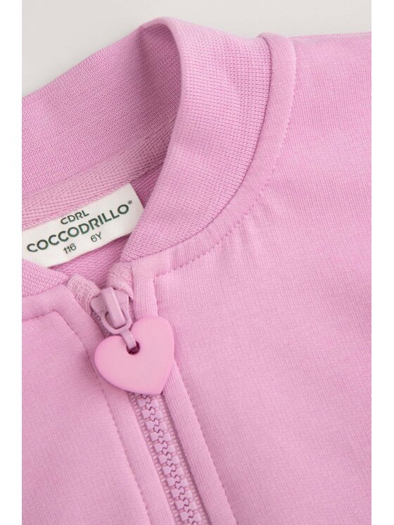 Coccodrillo Coccodrillo Bluza WC5132201LGD-007 Różowy Regular Fit