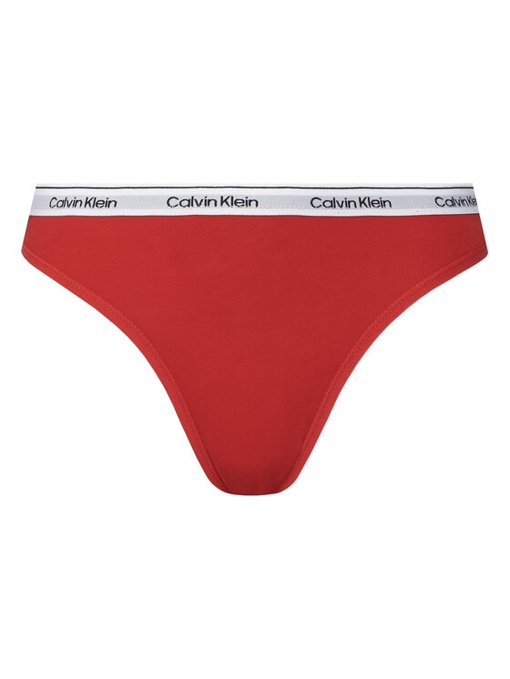 Calvin Klein Underwear Calvin Klein Underwear Set 5 parov klasičnih spodnjih hlačk 000QD5208E Pisana
