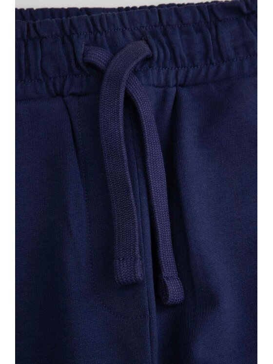 Coccodrillo Coccodrillo Spodnie dresowe ZC5120102AGJ-015 Granatowy Regular Fit