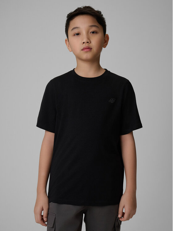 4F 4F T-Shirt BASIC+ Kolorowy Regular Fit