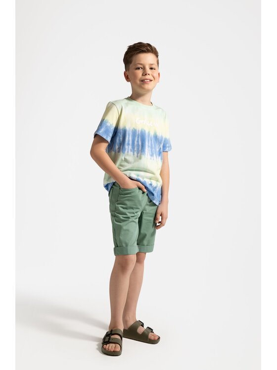 Coccodrillo Coccodrillo T-Shirt WC5143204IBJ-022 Kolorowy Regular Fit