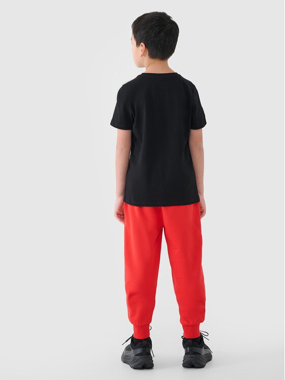 4F 4F Spodnie dresowe BASIC+ Pomarańczowy Regular Fit