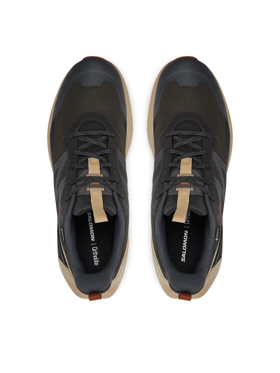 Salomon Salomon Snīkeri Elixir Activ Gore-Tex L47560400 Pelēks