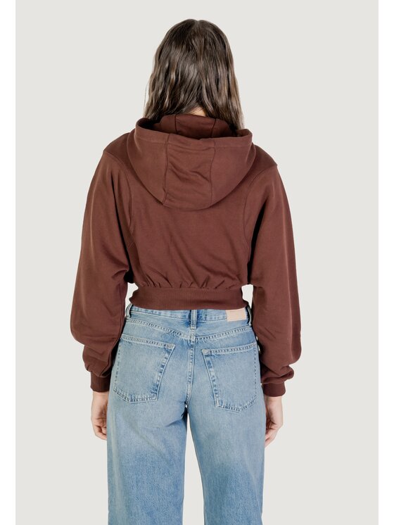 Tommy Jeans Tommy Jeans Μπλούζα TJW RLX CRP S-FLAG Z Καφέ Casual Fit