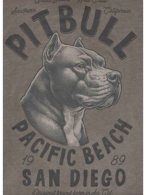 PITBULL PITBULL T-Shirt PACIFIC Brązowy Regular Fit