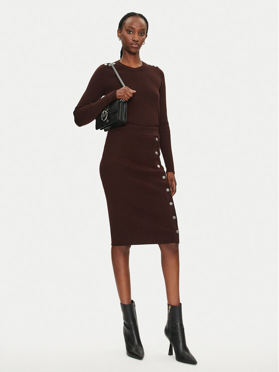 PINKO Pinko Pulover Costina 104020 A15S Rjava Slim Fit