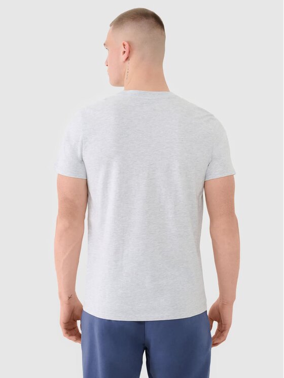 4F 4F T-Shirt 4FWMM00TTSHM2256-27M Szary Regular Fit