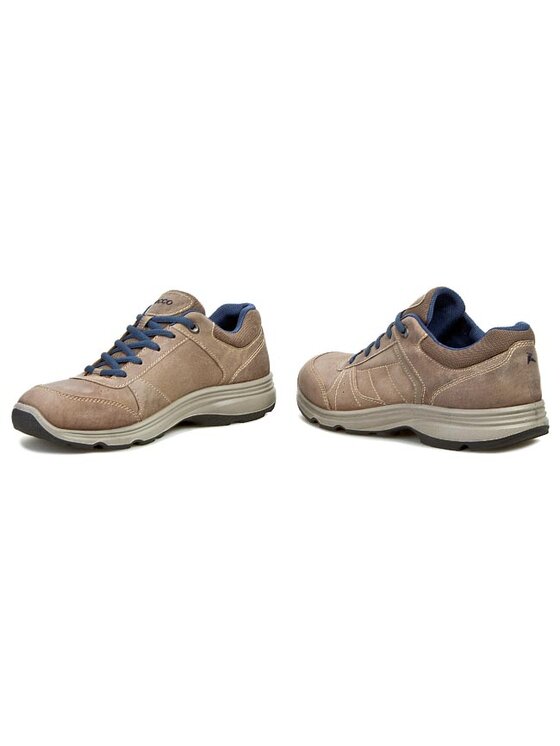 Ecco cheap light iv