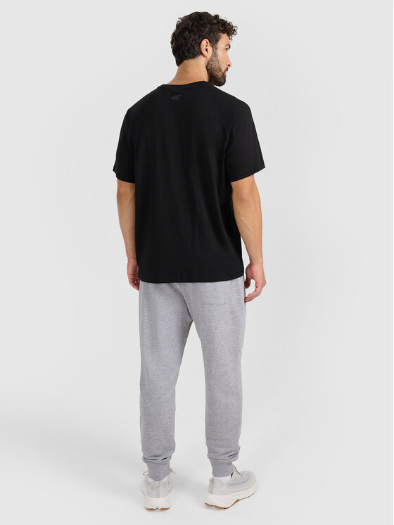 4F 4F Spodnie dresowe MIDSHOP TEXTILE Szary jasny Regular Fit