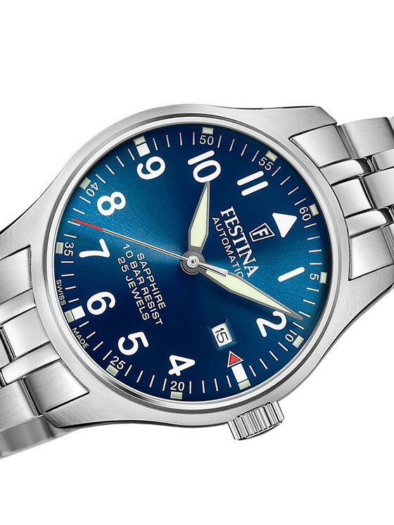 Festina Festina Hodinky F20151-C Stříbrná
