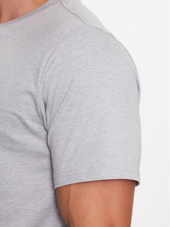 Columbia Columbia T-Shirt Rapid Ridge™ Back Graphic Tee II Šedá Regular Fit
