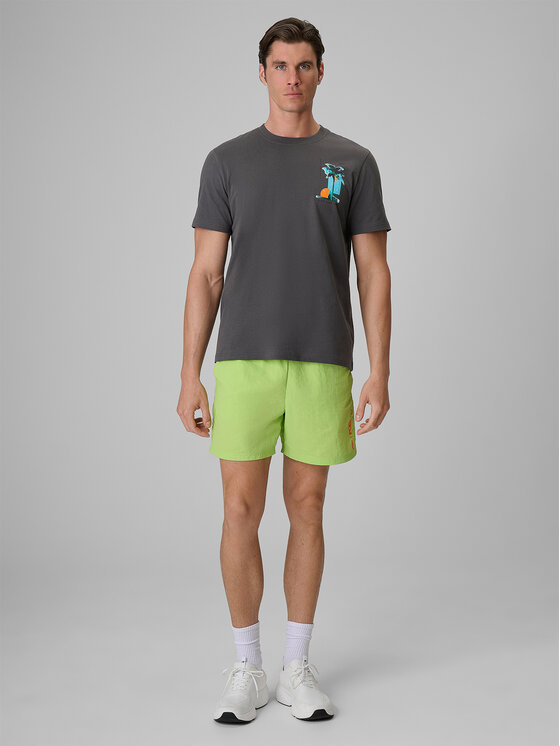 4F 4F T-Shirt CATCH THE WAVE Szary ciemny Regular Fit
