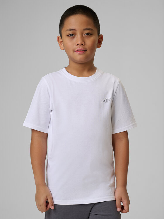 4F 4F T-Shirt BASIC+ Kolorowy Regular Fit