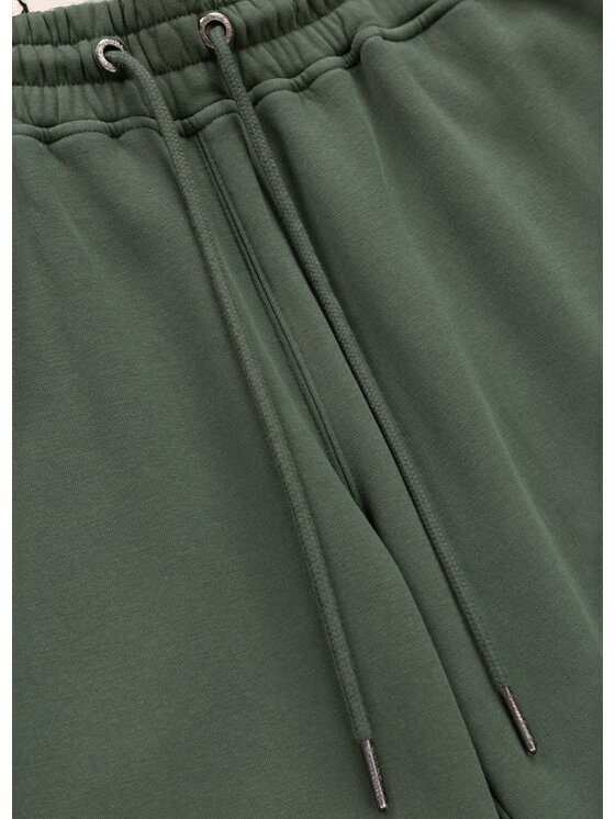 PITBULL PITBULL Spodnie dresowe Washed Manzanita Zielony Regular Fit