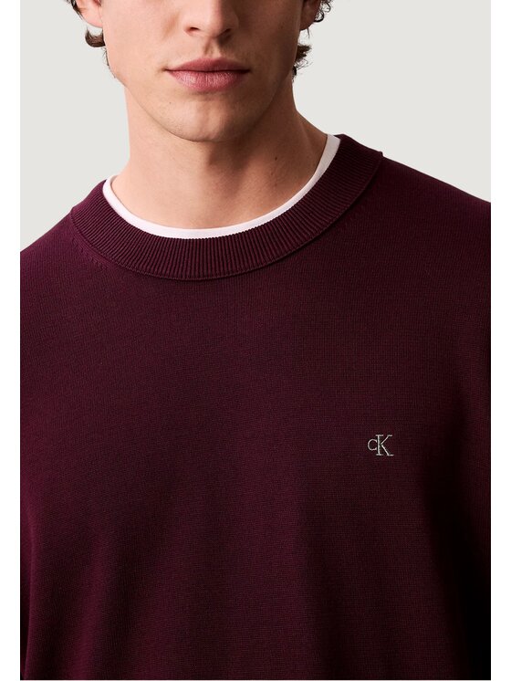 Calvin Klein Jeans Calvin Klein Jeans Maglione LS EZ COTTON CREWNK Viola To Fit