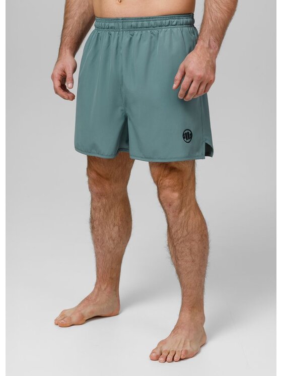 PITBULL PITBULL Szorty sportowe Performance Pro plus Small Logo II Zielony Regular Fit