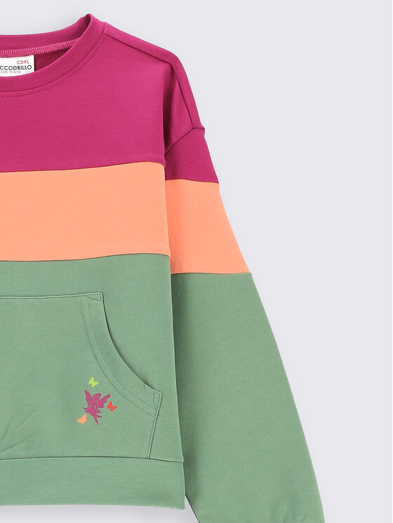 Felpa ZC2132103MAK Multicolore Regular Fit