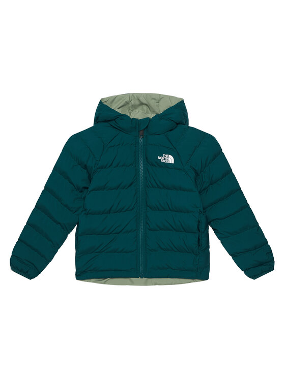 The North Face The North Face Kurtka zimowa Perrito NF0A88VJ Zielony ciemny Regular Fit