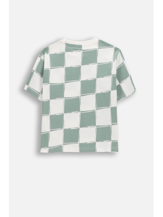 Coccodrillo Coccodrillo T-Shirt WC6143204NBK-011 Zielony Regular Fit
