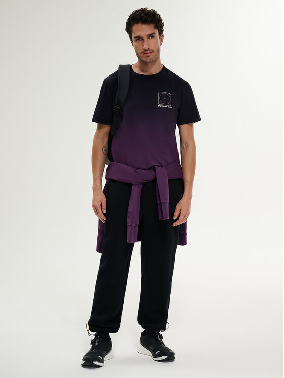 4F 4F Spodnie dresowe WHEEL & WAVE Czarny Regular Fit