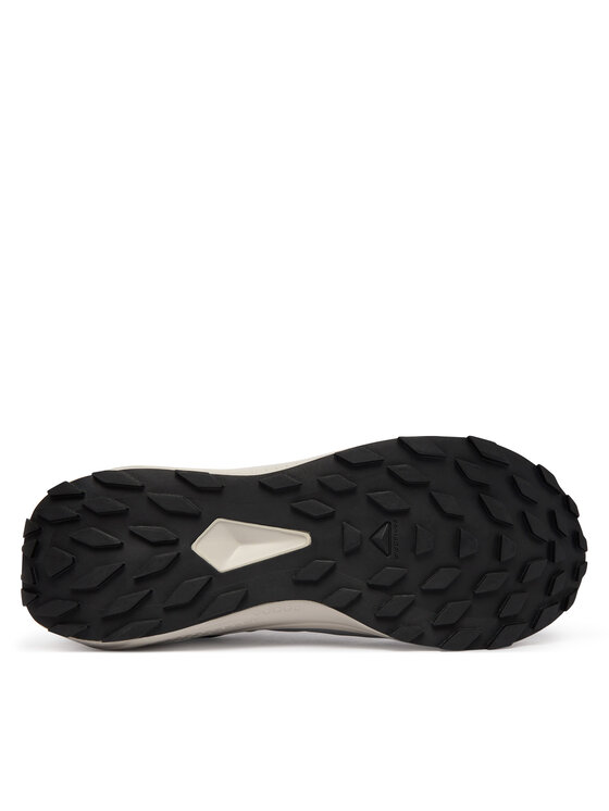 Salomon Salomon Buty do biegania Alphaglide Gore-Tex L47975300 Szary
