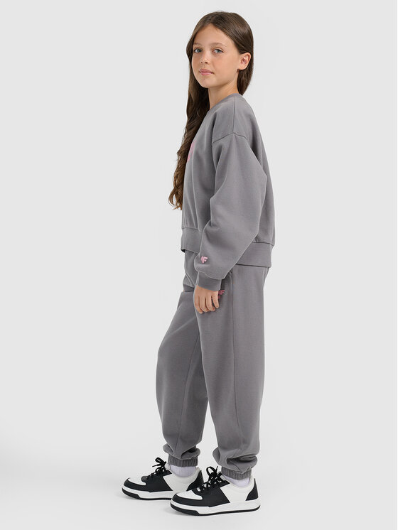 4F 4F Spodnie dresowe APRES SKI Szary ciemny Loose Fit