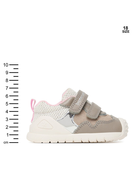 Biomecanics Biomecanics Tossud 251110 Hall