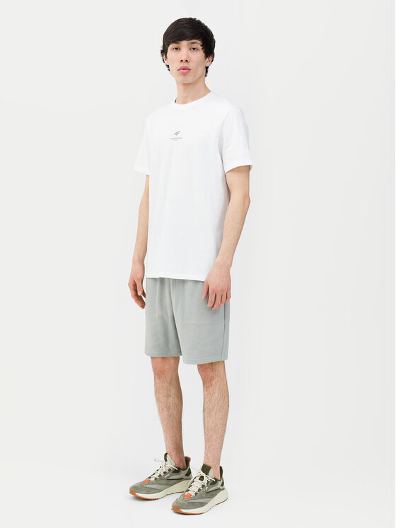 4F 4F Спортни шорти 4FWSS24TSHOM330 Сив Regular Fit