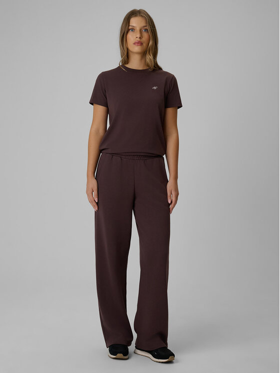 4F 4F Spodnie dresowe basic Brązowy Regular Fit