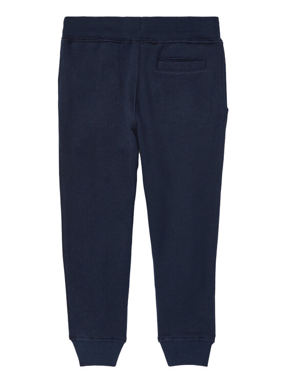 Polo Ralph Lauren Polo Ralph Lauren Pantaloni trening Core Replen 322720897003 Bleumarin Regular Fit